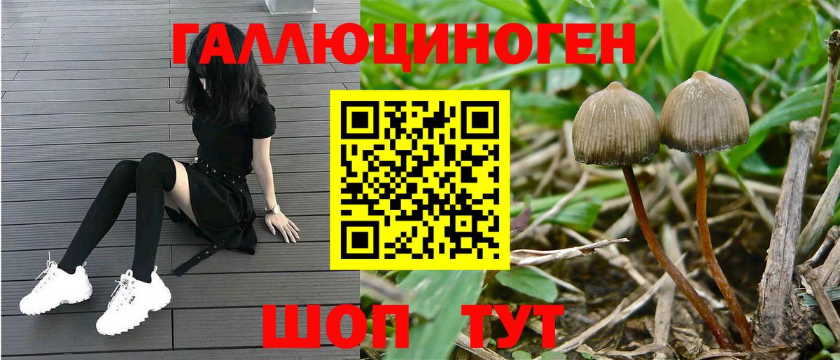 Галлюциногенные грибы Magic Shrooms  Вход с VPN  как найти закладки  Кизилюрт  Галлюциногенные грибы мухоморы 